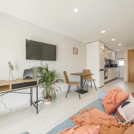 Sao Goncalinho By Sweet Apartament *